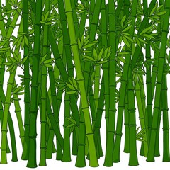 Tropical bamboo trees are often used by local people