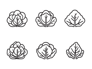 fresh cabbage line art food sketch illustration for kitchen design
