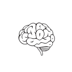 Human Brain Line Art Vector Illustration