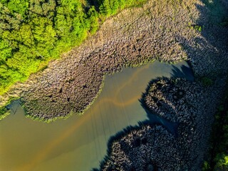 Beautiful green forest in the Polish countryside from a drone, lakes in Poland and a forest in the background, amazing drone shot of a forest, photos of a lake in Poland, amazing green island