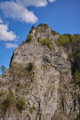 Limestone cliff above forest ravine