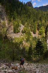 Fototapeta premium Man descending forested mountain ravine