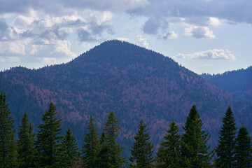 Forest-covered mountain with cloudy sky