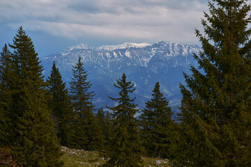 Mountain range with snow and forest foreground