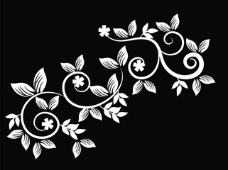 Obraz premium Elegant White Floral Vine Design on Black Background for Decoration