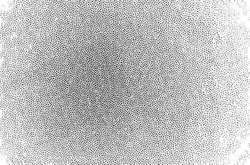 A dense black and white of small dots creates a textured background.