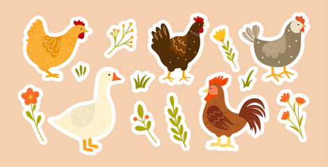 Farm Birds Sticker Set. Hens, goose, chicks, rooster. Cute farm birds in flat style. Vector colorful stickers, hand drawn.