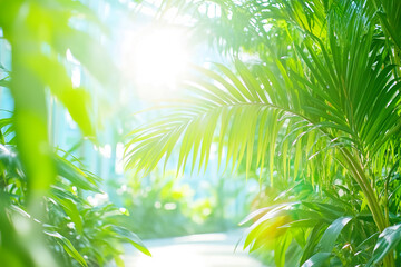 Sunlight filtering through vibrant green tropical leaves in lush garden