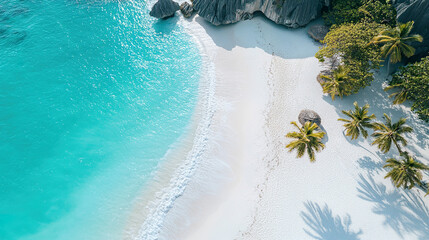 Stunning aerial view of tropical beach with palm trees and turquoise water