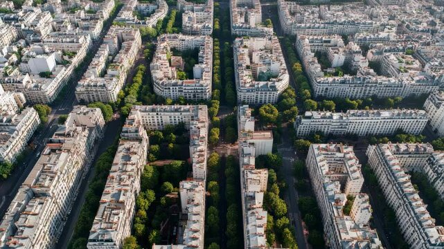 Sunlight illuminates the geometric pattern of parisian residential buildings and tree lined streets, creating a captivating urban landscape seen from a high vantage point