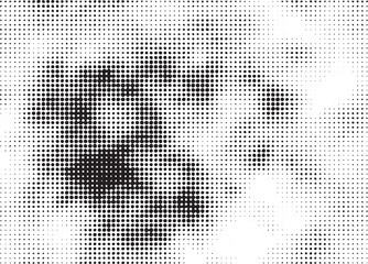 A grayscale portrait emerges from a field of densely packed black and white dots.
