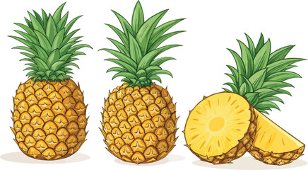 Pineapple Illustration vector design, Pineapple with Pineapple Slice in white background vector design