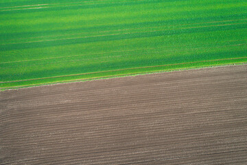 overhead view of agricultural fields with a strong diagonal line, drone shot of sharp diagonal line...