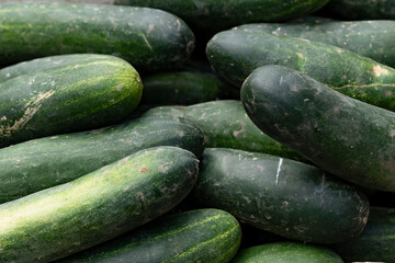 cucumbers in the market