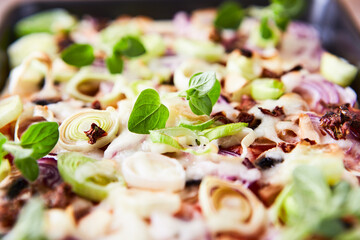 Pizza with mozzarella cheese and leek. Close up.