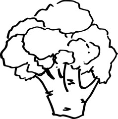 Hand drawn doodle illustration of a broccoli head ink healthy food clipart