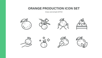 Orange Production Icon Set. Thin Line Illustrations of Citrus Harvesting, Picking, Sorting, Crate Packing, Quality Control and Orchard Management for Agriculture and Food Industry Processes
