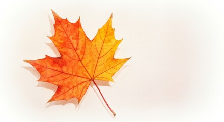 Vibrant autumn maple leaf against a light background.