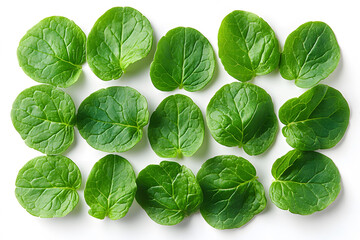 Fototapeta premium Fresh Green Leaves Pattern Display for Food and Health Design Projects