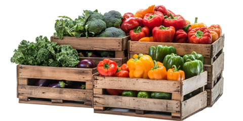 Fresh produce in wooden crates.  Assorted vegetables including kale, broccoli, bell peppers, and eggplant