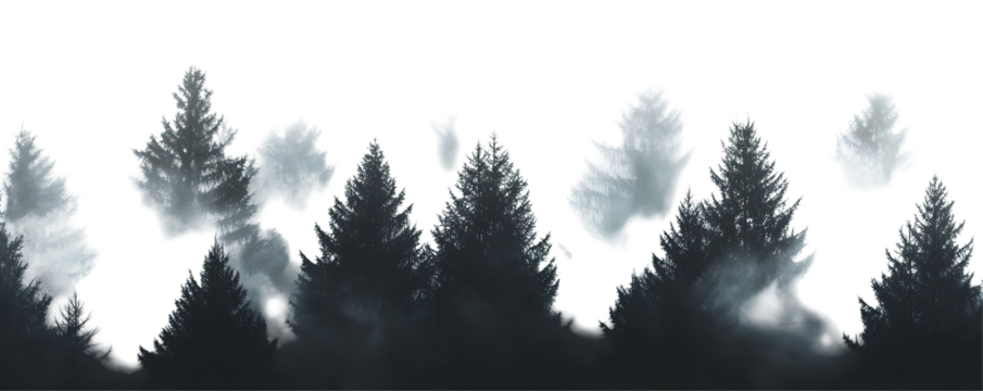 Misty forest scene with silhouettes of evergreen trees