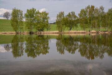 Kleiner Teich bei Lipova im Lausitzer Gebirge 6