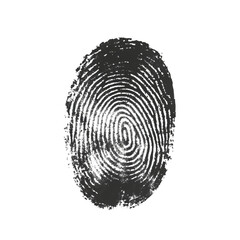 Png of An abstract fingerprint representation on a transparent background, showcasing intricate details and curves.