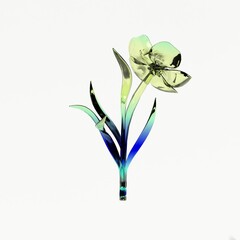 Aesthetic flower white background