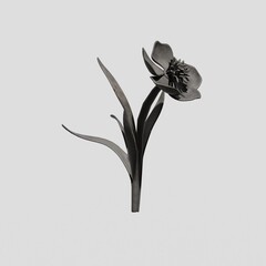 Aesthetic flower white background
