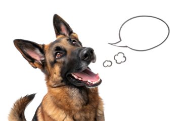 Dog pet with speech bubble on white background 
