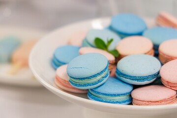 Colorful macarons displayed elegantly on a white plate at a festive dessert table celebration
