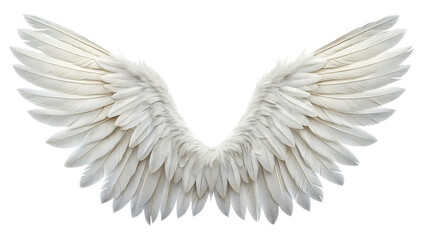 white feather angel wings bird isolated on white background PNG