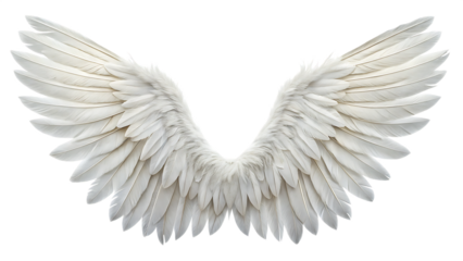 white feather angel wings bird isolated on white background PNG