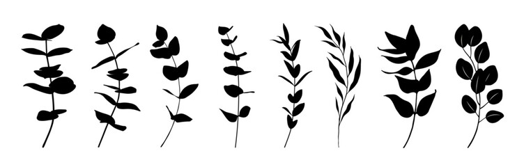 Set of hand drawn vector eucalyptus leaves, branches. Floral Line Art.. Collection of botanical black silhouette element vector. Black and white floral bouquet in minimalistic flat style.