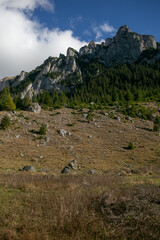 Mountain range with trees at the foot