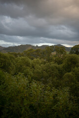 Sunset over forested mountains