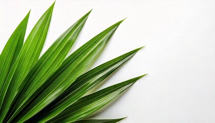 Obraz premium A touch of nature 💚