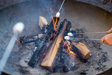 冬の寒空の下で焚火を囲みながらマシュマロを焼く