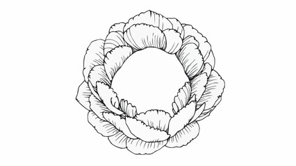 Flower illustration in line art style with floral details  