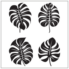 silhouette of a monstera set clipart