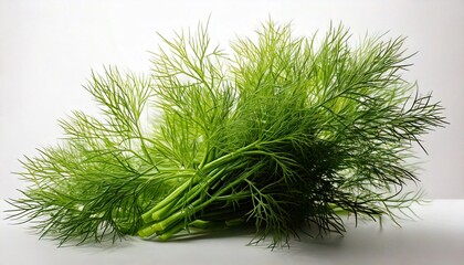 Fototapeta premium dill on white background