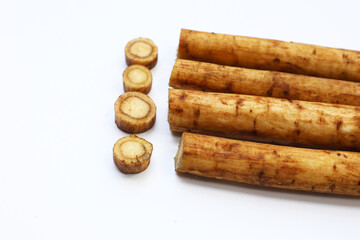 Fresh burdock roots or gobo roots