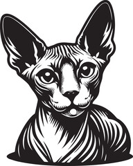 Sphynx Cat Vector Black and White Line Art Illustration