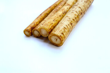Fresh burdock roots or gobo roots