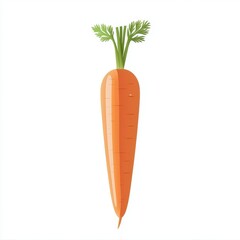 an organic carrot clipart, vegetable element, hand-drawn style, with fresh green tops, isolated on white background