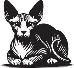 Sphynx Cat Vector Black and White Line Art Illustration