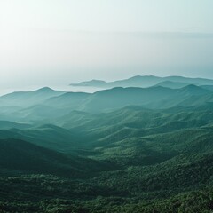 Fototapeta premium Misty mountain range covered in lush green forest fades into a soft, dreamy horizon with a serene and peaceful atmosphere in the distance.