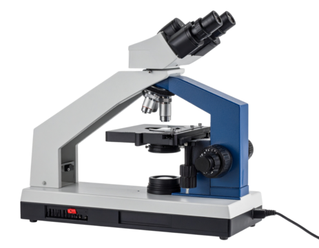 Laboratory microscope with multiple objective lenses and adjustment knobs for detailed scientific observation.