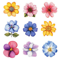 Obraz premium flower shape sticker set isolated [Transparent Background PNG]. 