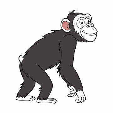 vector chiampanji art free downlaod